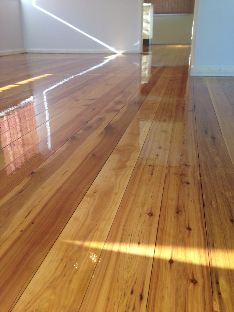 60 Year Old Cypress Pine